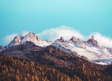 yl23455永利官网：打造专属于你的高品质娱乐港湾